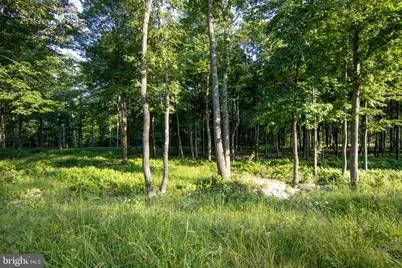 Lot 158 Fork Run Trail, Mc Henry, MD 21541 - Photo 7