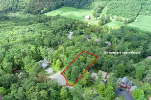 103 Birdsong Way, Mc Henry, MD 21541 - Photo 1