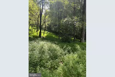 Santa Fe Trail, Oakland, MD 21550 - Photo 3