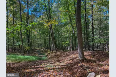 9 Timber Falls Road, Oakland, MD 21550 - Photo 11