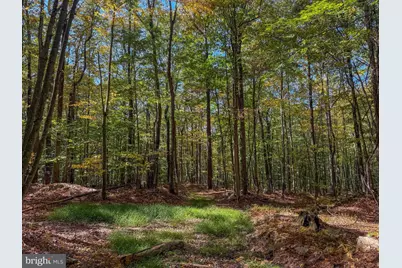 9 Timber Falls Road, Oakland, MD 21550 - Photo 9