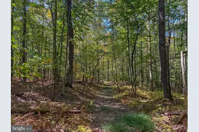 9 Timber Falls Road, Oakland, MD 21550 - Photo 7