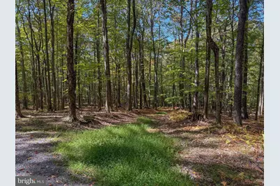 9 Timber Falls Road, Oakland, MD 21550 - Photo 5