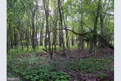 Longview Lane, Oakland, MD 21550 - Photo 5