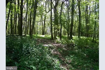 Longview Lane, Oakland, MD 21550 - Photo 3