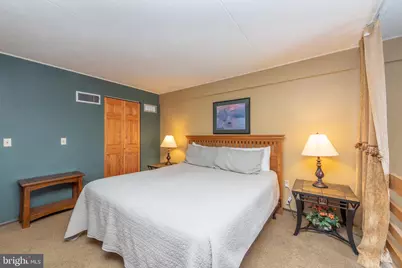 20160 Garrett Highway #G507, Oakland, MD 21550 - Photo 17