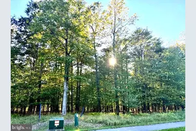 60 Sundance Way, Mc Henry, MD 21541 - Photo 1