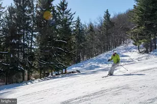 336 Paradise Heights, Oakland, MD 21550 - Photo 85