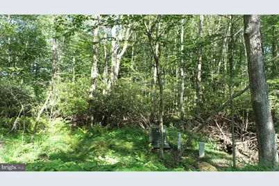 Limpopo Lane, Mc Henry, MD 21541 - Photo 5