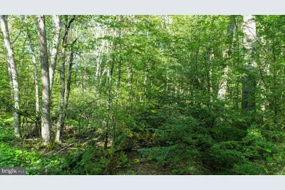 Limpopo Lane, Mc Henry, MD 21541 - Photo 21