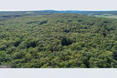 Limpopo Lane, Mc Henry, MD 21541 - Photo 13