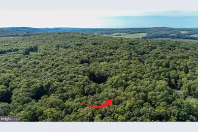 Limpopo Lane, Mc Henry, MD 21541 - Photo 11