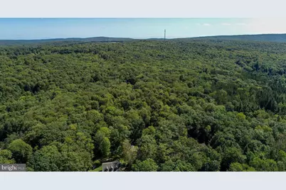 Whispering Pines Lane, Oakland, MD 21550 - Photo 13