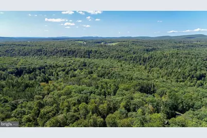 Whispering Pines Lane, Oakland, MD 21550 - Photo 7