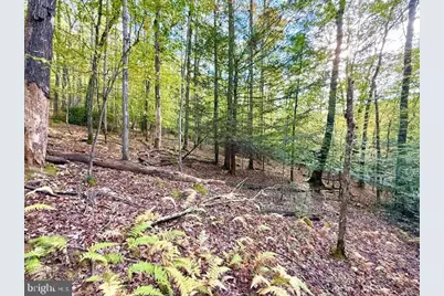 Lots 7 & 8 (2.57 Ac) Valley Road, Oakland, MD 21550 - Photo 9