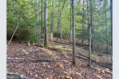 Lots 7 & 8 (2.57 Ac) Valley Road, Oakland, MD 21550 - Photo 7