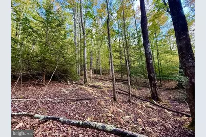 Lots 7 & 8 (2.57 Ac) Valley Road, Oakland, MD 21550 - Photo 5