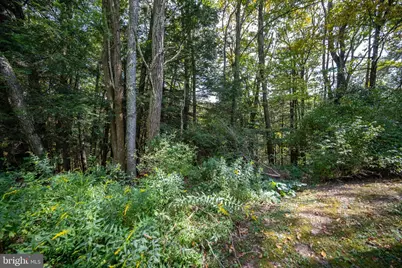 6932 New Germany Road, Grantsville, MD 21536 - Photo 17