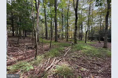 0 Lake Shore Drive, Oakland, MD 21550 - Photo 7