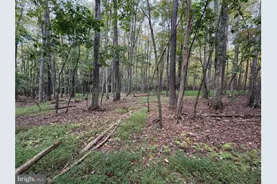 0 Lake Shore Drive, Oakland, MD 21550 - Photo 1