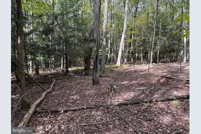 0 Lake Shore Drive, Oakland, MD 21550 - Photo 23