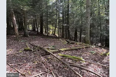 0 Lake Shore Drive, Oakland, MD 21550 - Photo 21