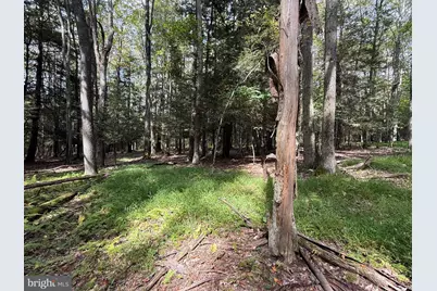 0 Lake Shore Drive, Oakland, MD 21550 - Photo 15