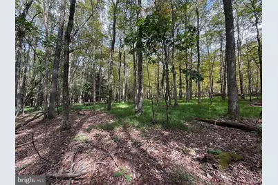 0 Lake Shore Drive, Oakland, MD 21550 - Photo 11