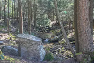 285 Lake Shore Dr, Oakland, MD 21550 - Photo 13