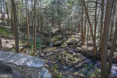 285 Lake Shore Drive, Oakland, MD 21550 - Photo 15