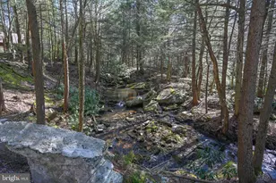 285 Lake Shore Dr, Oakland, MD 21550 - Photo 15