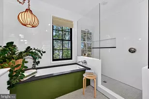 282 McComas Beach Terrace, Oakland, MD 21550 - Photo 73