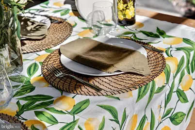 282 McComas Beach Terrace, Oakland, MD 21550 - Photo 49