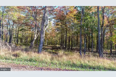 157 Fork Run Trail, Mc Henry, MD 21541 - Photo 5