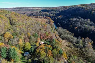 63 Wallman Rd, Oakland, MD 21550 - Photo 55