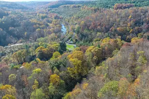 63 Wallman Rd, Oakland, MD 21550 - Photo 3