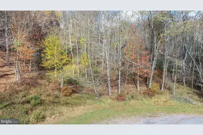 Lot 18 Laurel Court, Oakland, MD 21550 - Photo 9