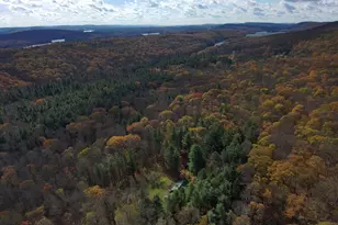 725 Candle Tree Ln, Swanton, MD 21561 - Photo 27