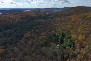 725 Candle Tree Ln, Swanton, MD 21561 - Photo 29