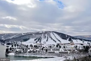 290 Marsh Hill Rd, Mc Henry, MD 21541 - Photo 17