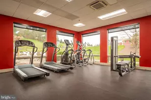 290 Marsh Hill Rd, Mc Henry, MD 21541 - Photo 19