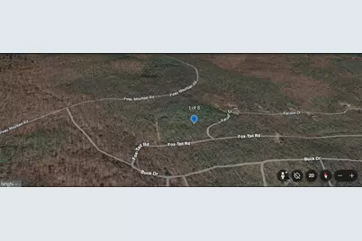 Fox Tail Road, Oakland, MD 21550 - Photo 3