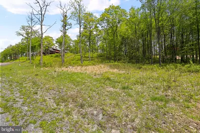 Lot 68 North Camp Road, Mc Henry, MD 21541 - Photo 3