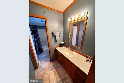 98 Bear Run Road, Oakland, MD 21550 - Photo 25