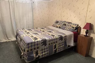 98 Bear Run Rd, Oakland, MD 21550 - Photo 23