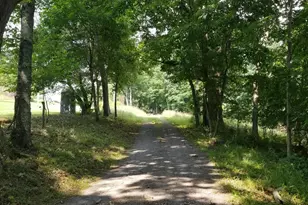 Wes Mountain Trail, Mc Henry, MD 21541 - Photo 1