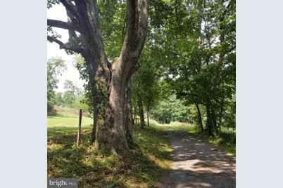 Wes Mountain Trail, Mc Henry, MD 21541 - Photo 11