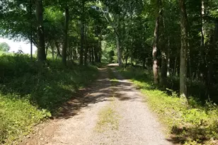 Wes Mountain Trail, Mc Henry, MD 21541 - Photo 1