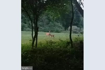 Wes Mountain Trail, Mc Henry, MD 21541 - Photo 25