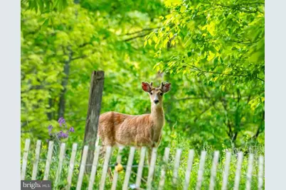 Wes Mountain Trail, Mc Henry, MD 21541 - Photo 19